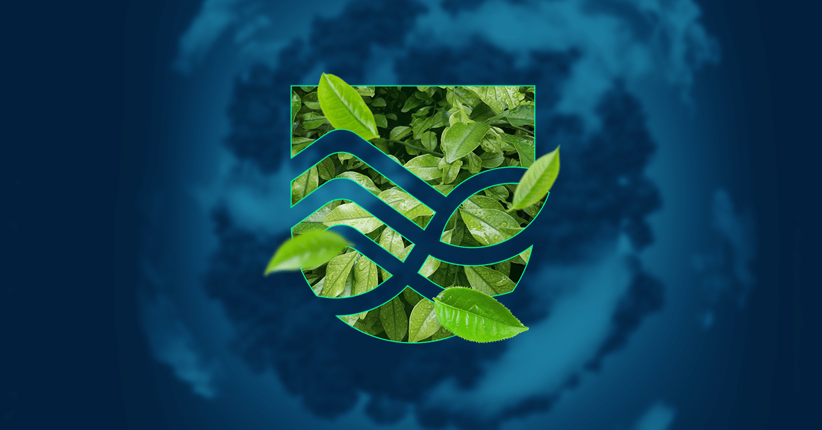 Duna Ambiental